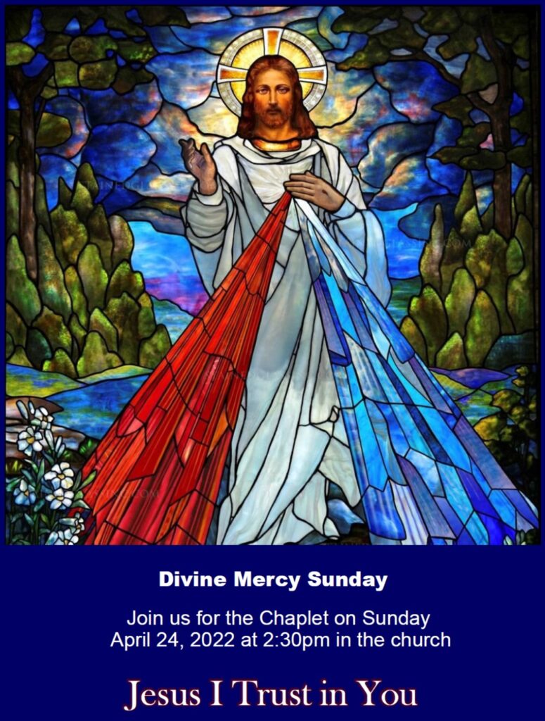Divine Mercy Flyer