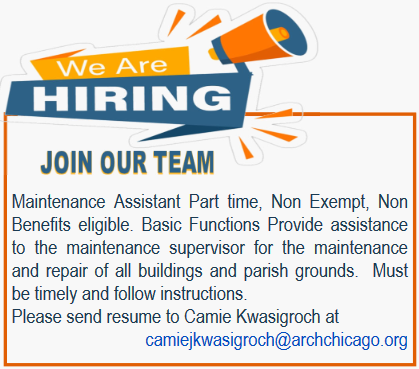 We are hiring. Join our team